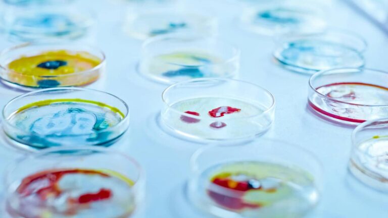 microbiologia1
