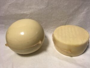 Puffadt Trappista 1