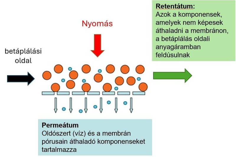 Membránszeparáció a tejiparban 1 Membránszeparáció a tejiparban - Áttekintés a membránszeparációs eljárásokról 1. rész